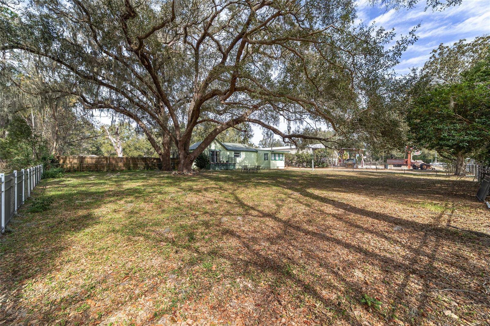 7075 SE HIGHWAY 25A, BELLEVIEW, FL — photo 3