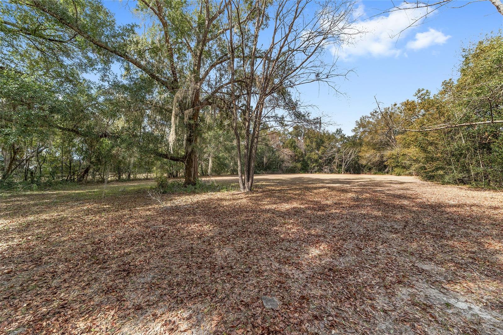 7075 SE HIGHWAY 25A, BELLEVIEW, FL — photo 5