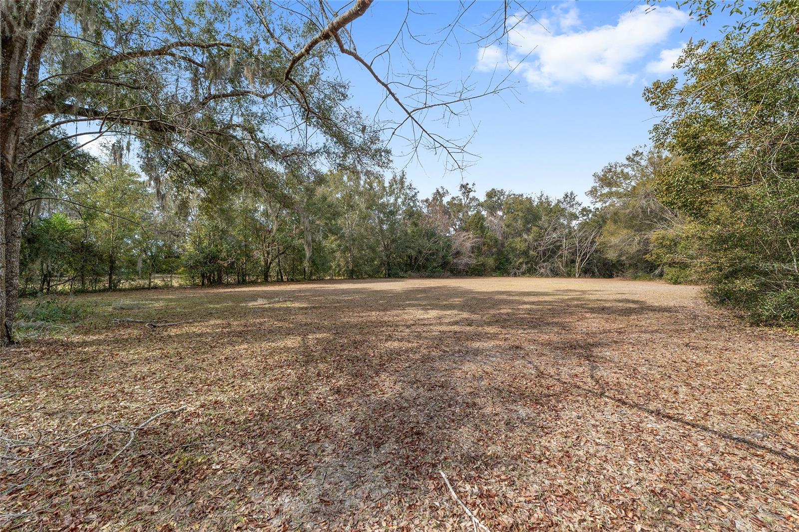 7075 SE HIGHWAY 25A, BELLEVIEW, FL — photo 33