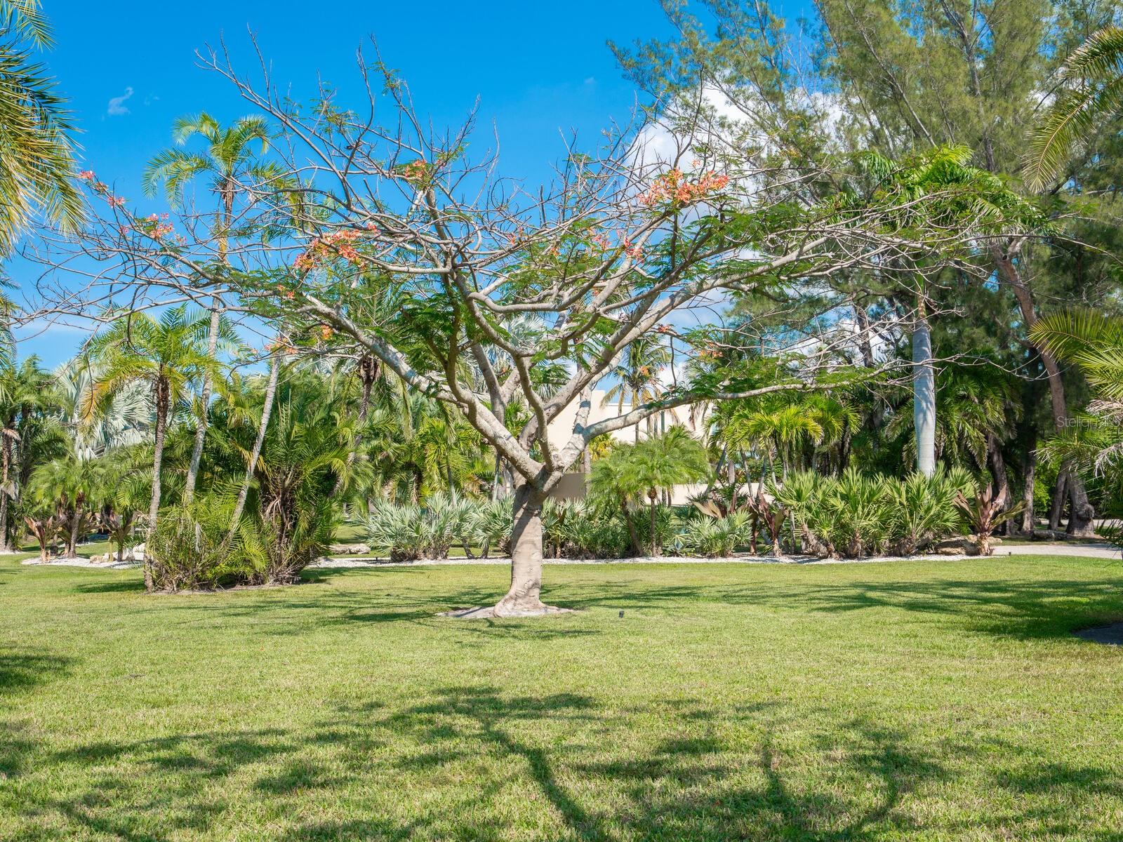 6610 GULF OF MEXICO DR, LONGBOAT KEY, FL — photo 66