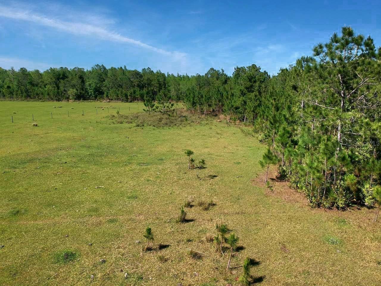 DEEN STILL RD E RD E #Lot B-178, POLK CITY, FL — photo 4