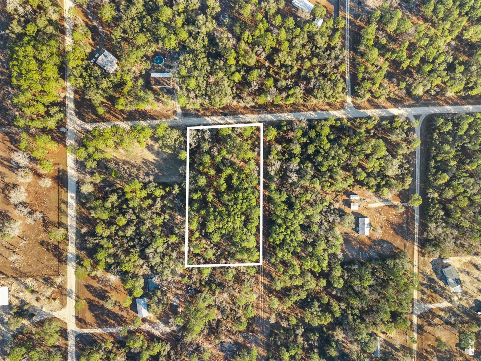 0 NE 121ST AVE, WILLISTON, FL — photo 3