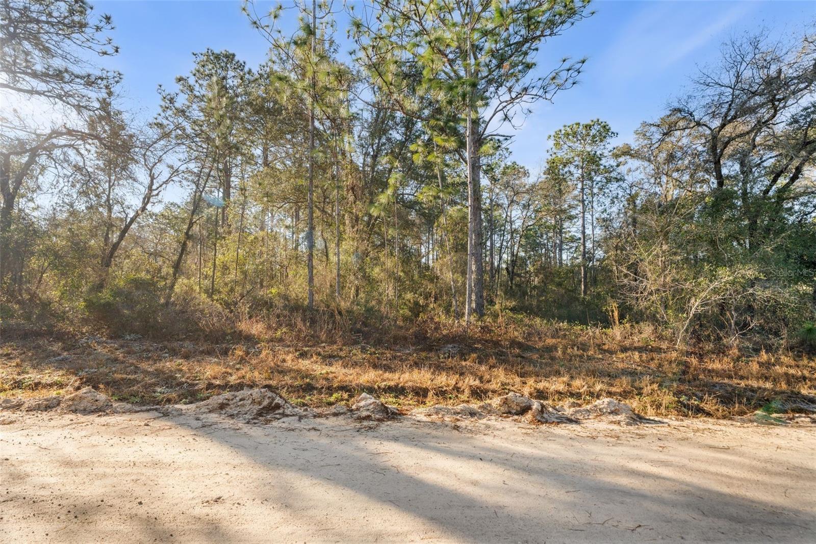 0 NE 121ST AVE, WILLISTON, FL — photo 7