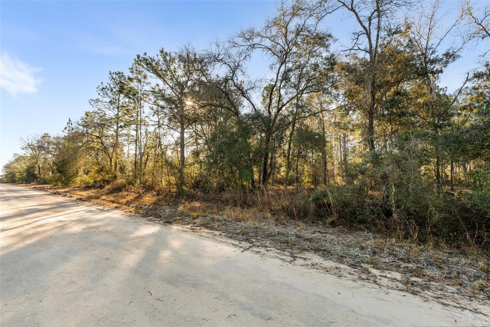 0 NE 121ST AVE, WILLISTON, FL — photo 10