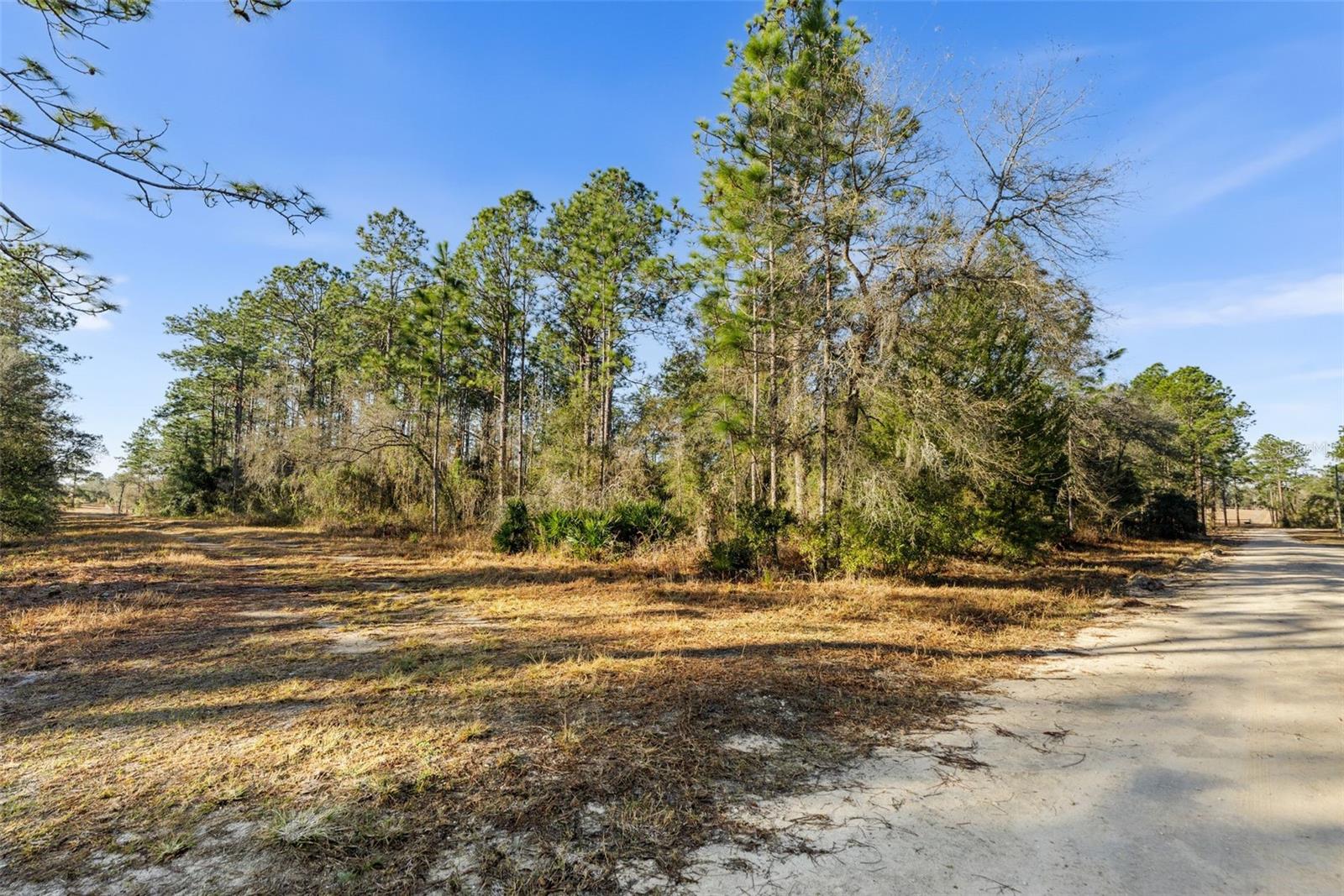 0 NE 121ST AVE, WILLISTON, FL — photo 12