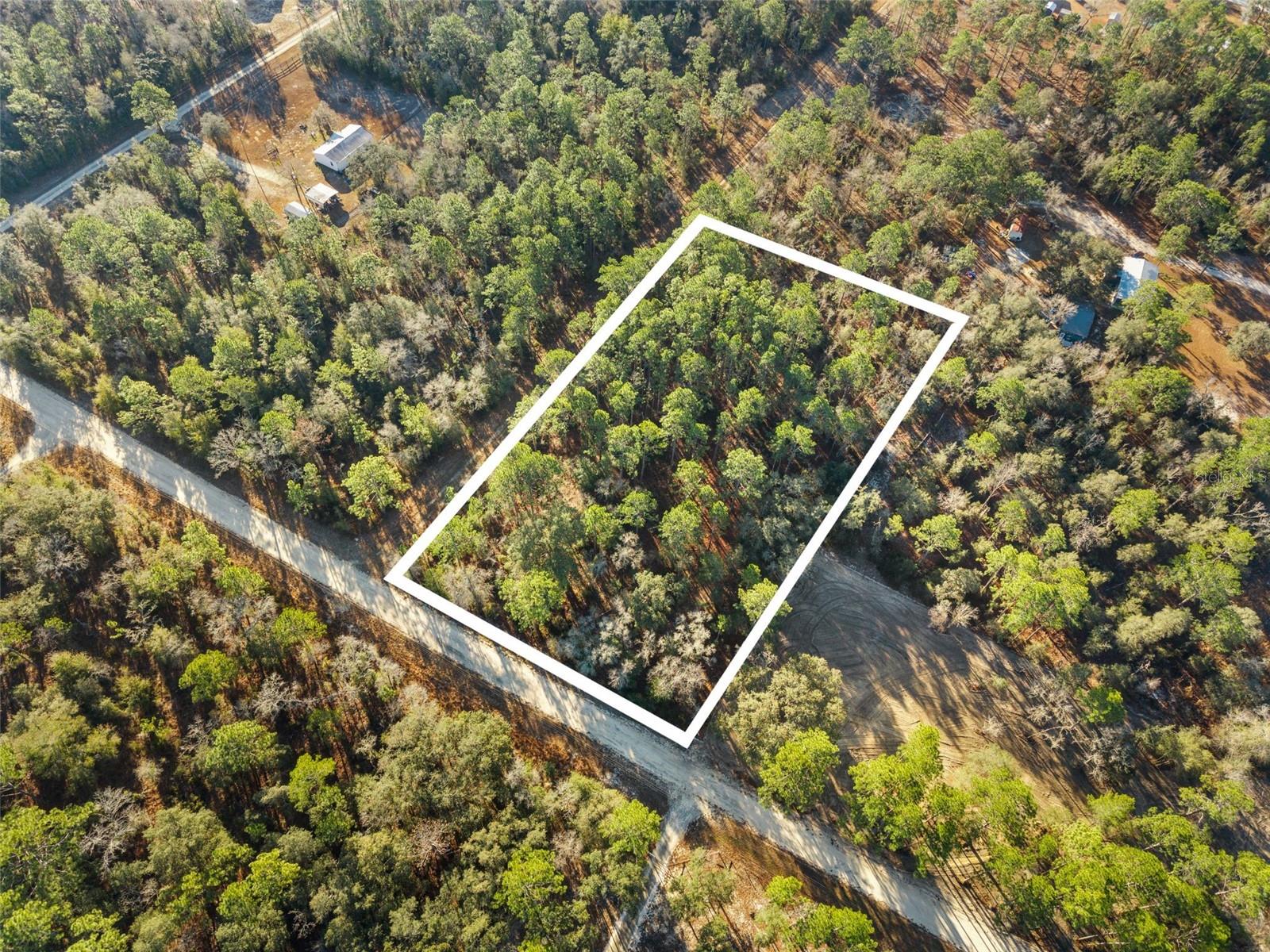 0 NE 121ST AVE, WILLISTON, FL — photo 13