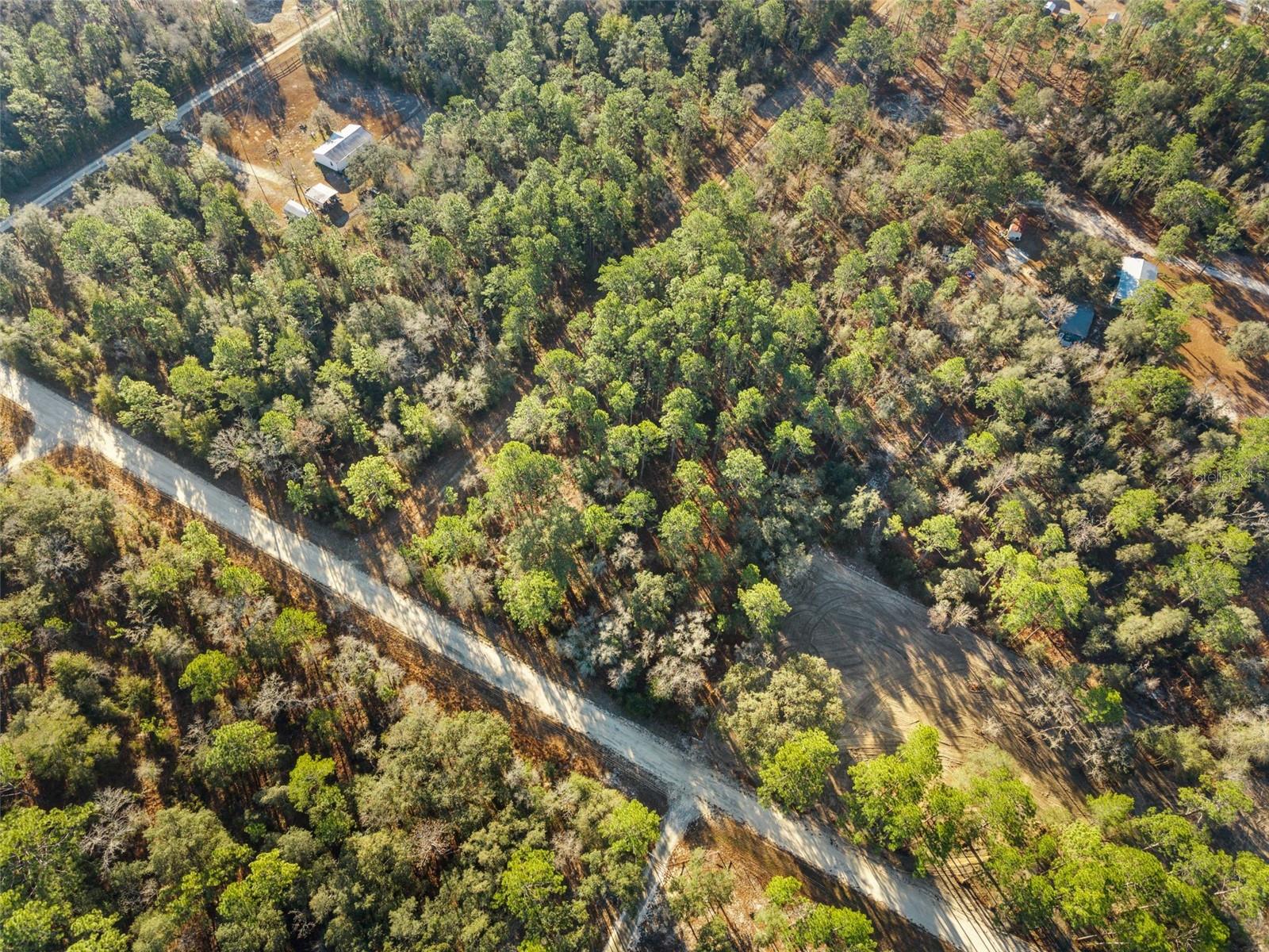 0 NE 121ST AVE, WILLISTON, FL — photo 15