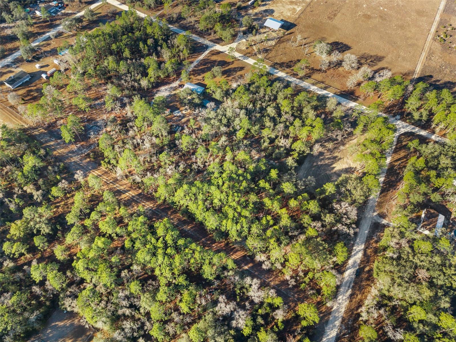 0 NE 121ST AVE, WILLISTON, FL — photo 17