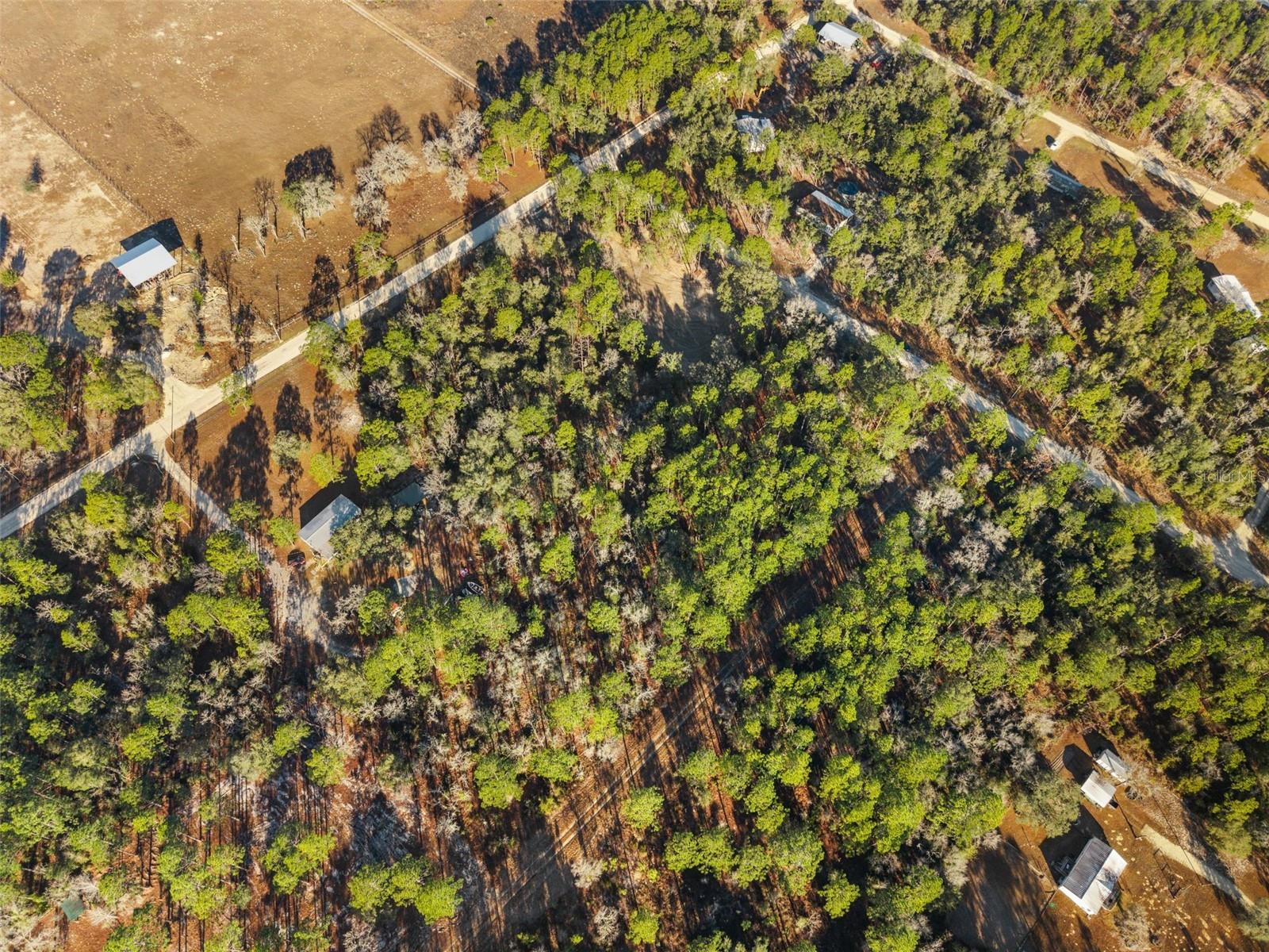 0 NE 121ST AVE, WILLISTON, FL — photo 21