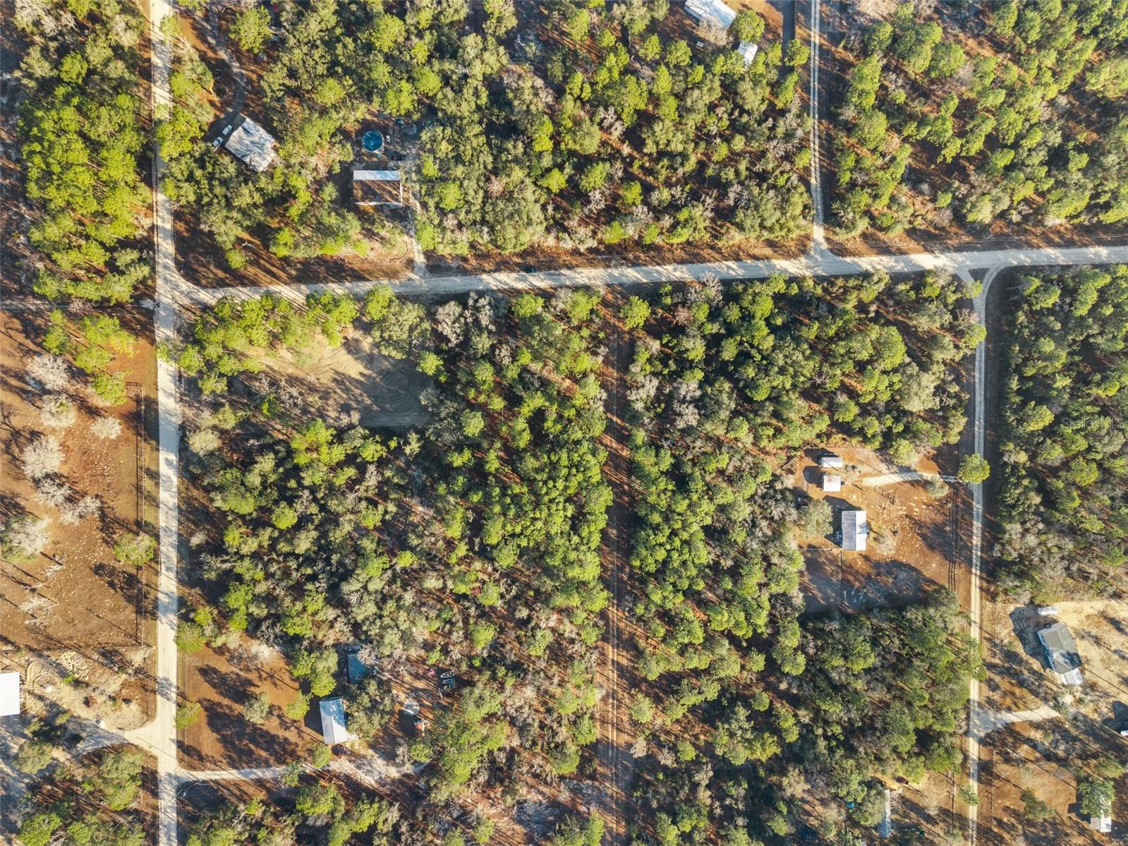 0 NE 121ST AVE, WILLISTON, FL — photo 24