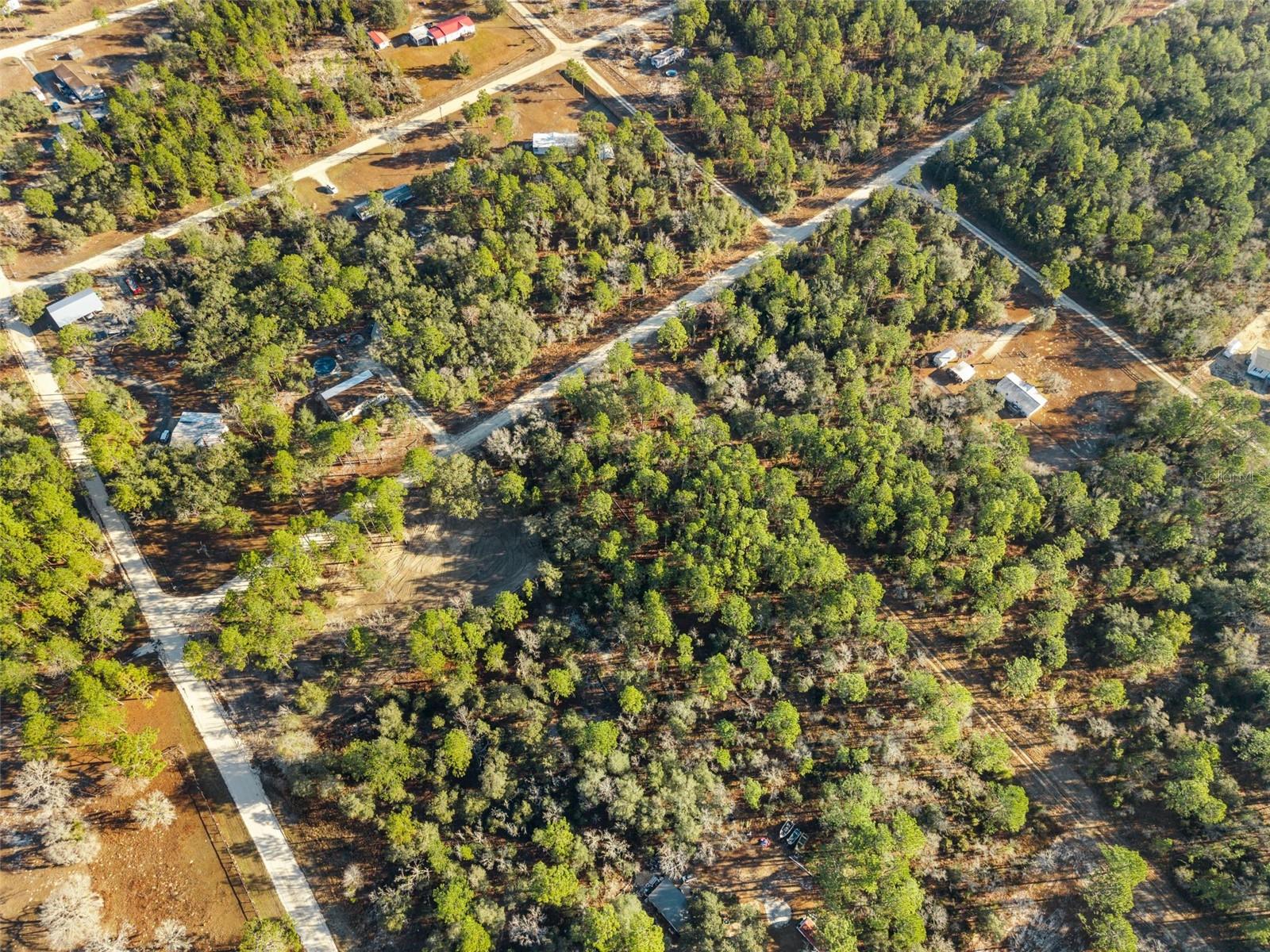 0 NE 121ST AVE, WILLISTON, FL — photo 26