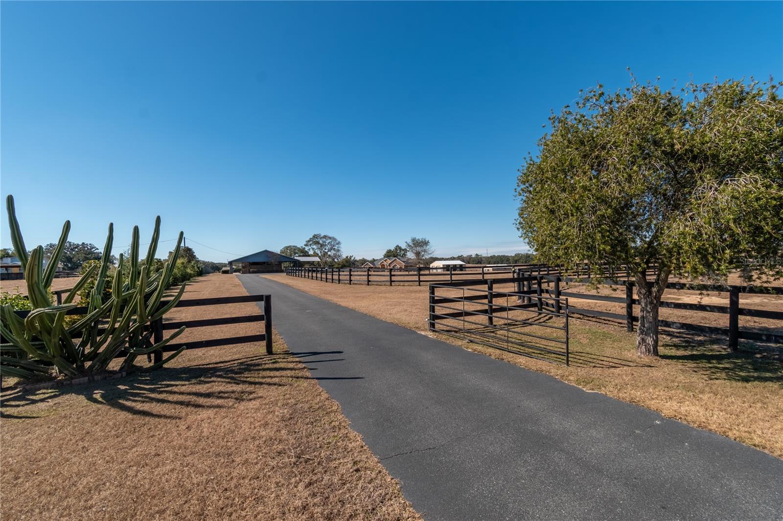 12610 NW GAINESVILLE RD, REDDICK, FL — photo 6