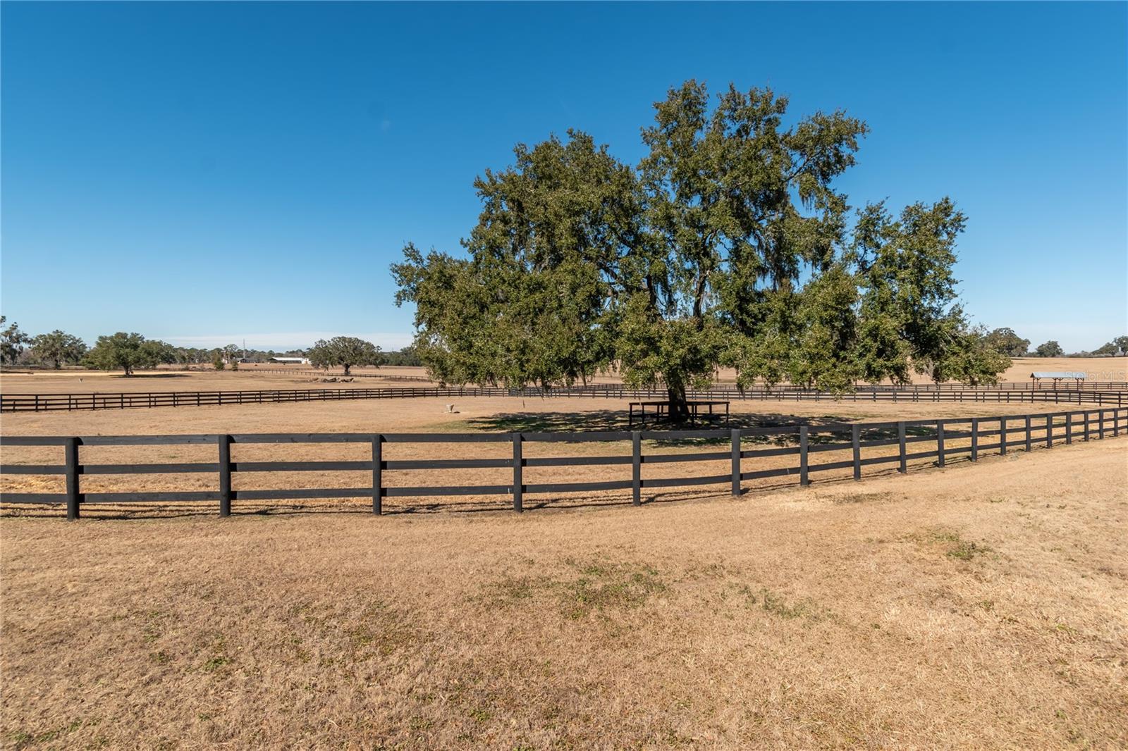 12610 NW GAINESVILLE RD, REDDICK, FL — photo 66