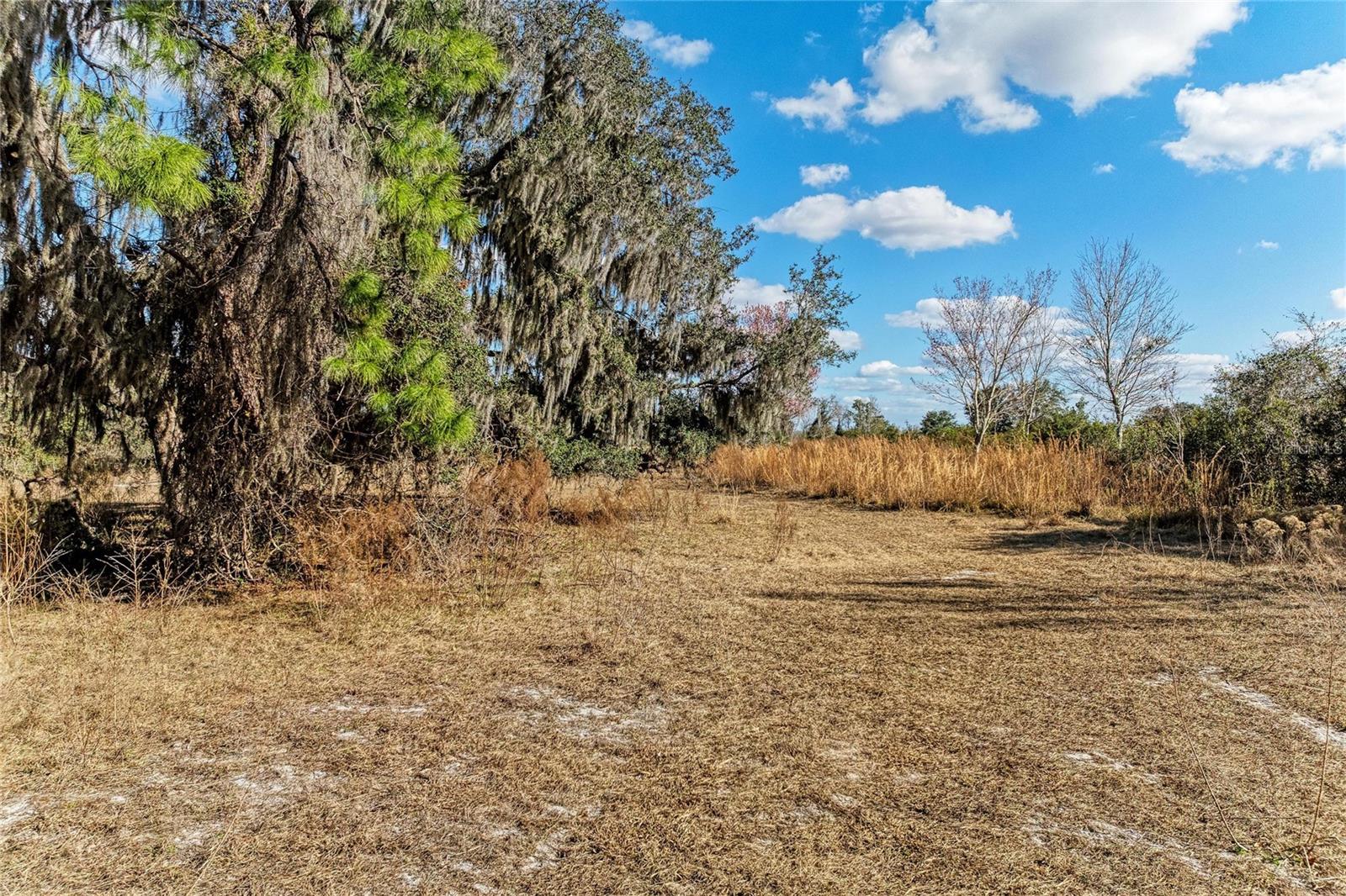 33100 & 33070 TAYLOR GRADE RD, PARRISH, FL — photo 9
