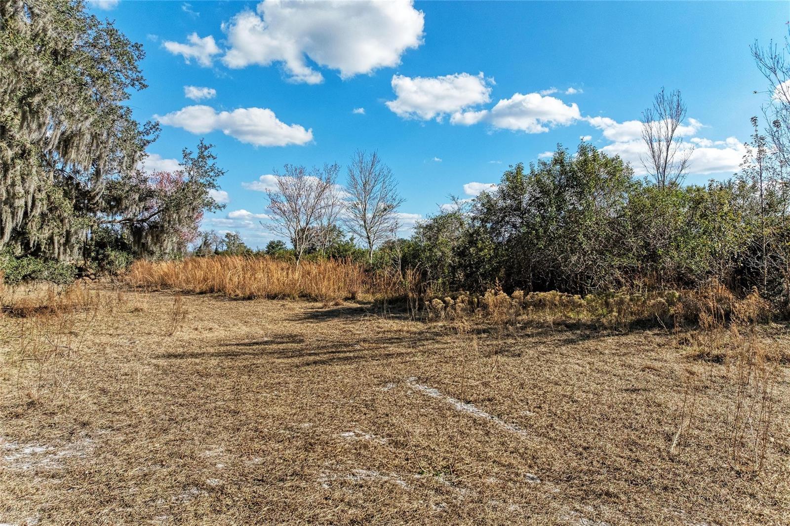 33100 & 33070 TAYLOR GRADE RD, PARRISH, FL — photo 10