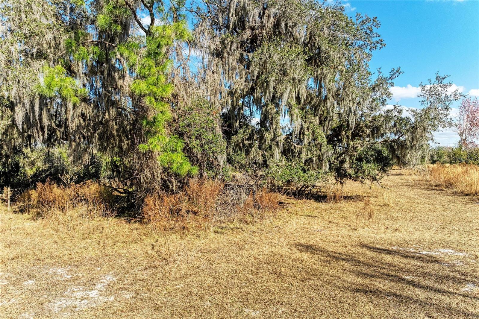 33100 & 33070 TAYLOR GRADE RD, PARRISH, FL — photo 12