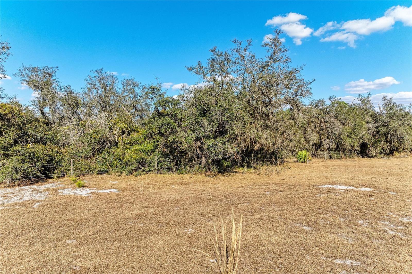 33100 & 33070 TAYLOR GRADE RD, PARRISH, FL — photo 14