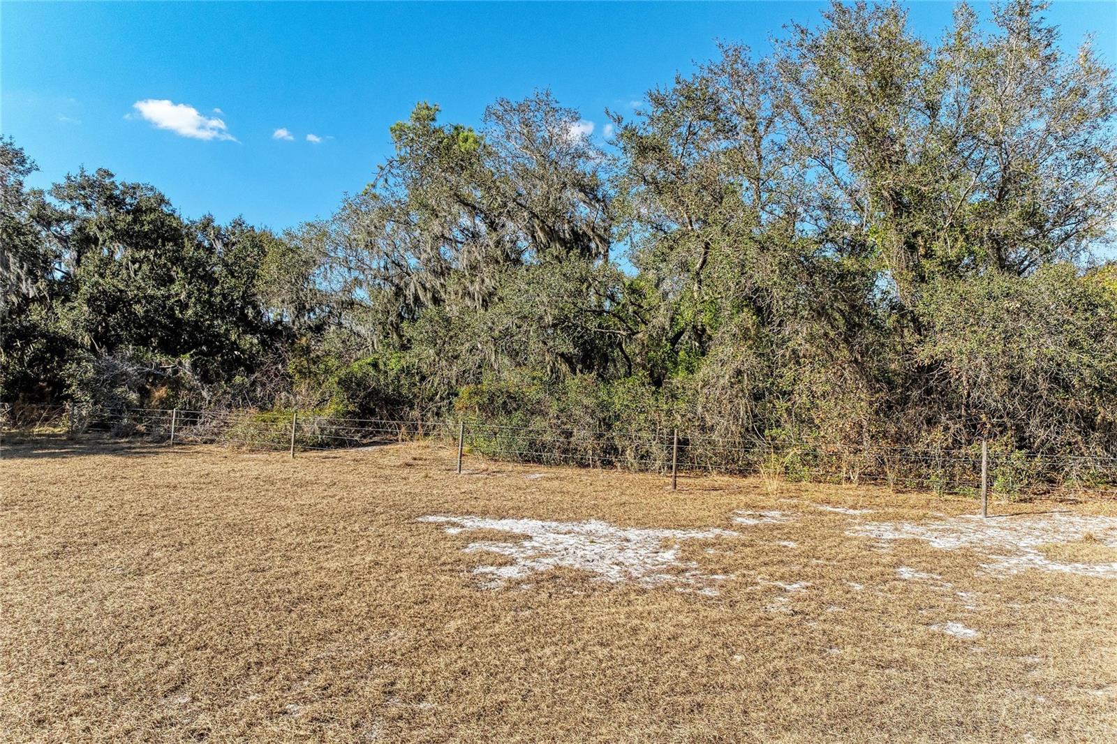 33100 & 33070 TAYLOR GRADE RD, PARRISH, FL — photo 15