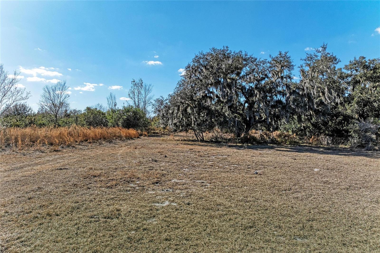 33100 & 33070 TAYLOR GRADE RD, PARRISH, FL — photo 16