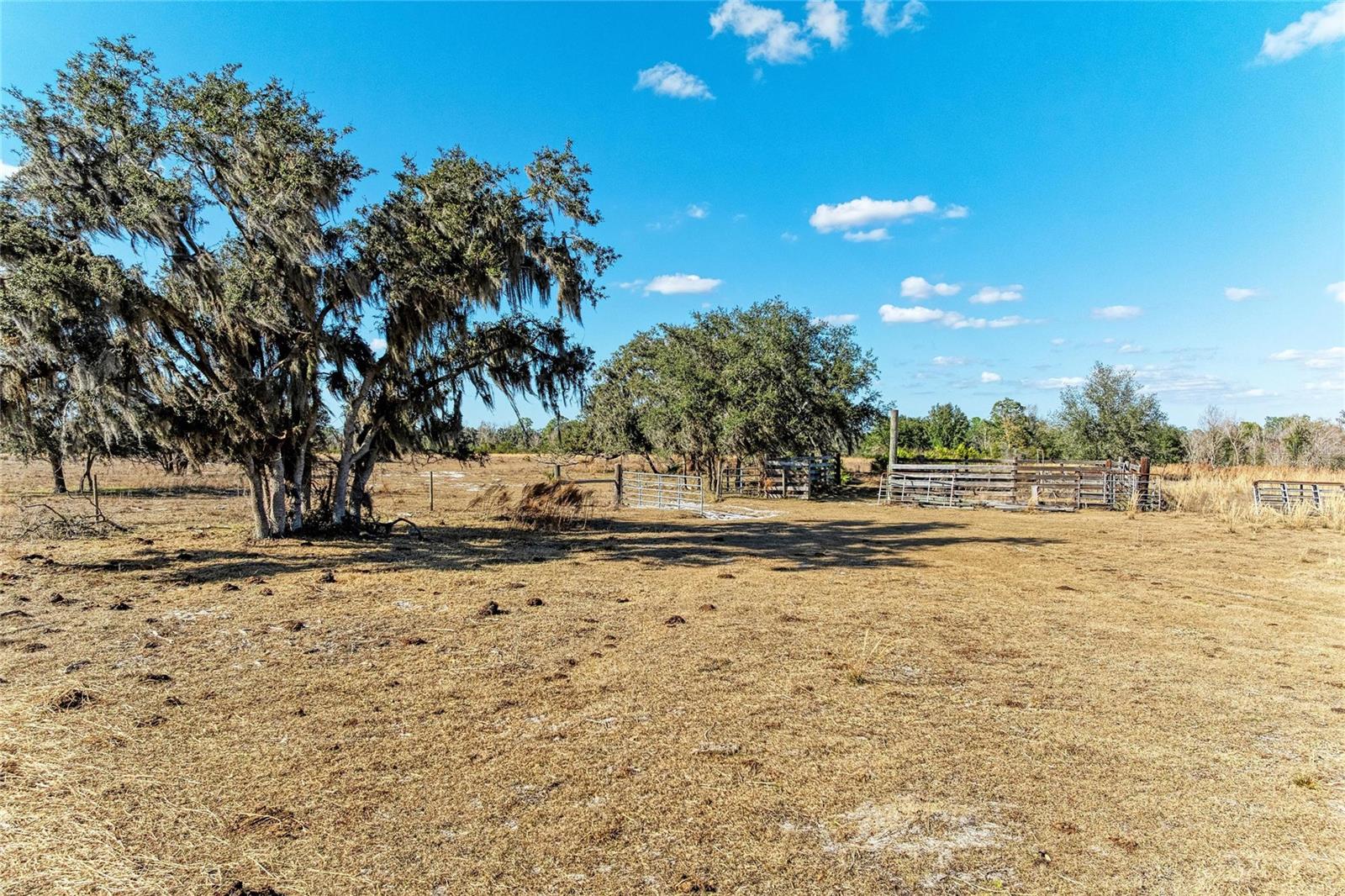 33100 & 33070 TAYLOR GRADE RD, PARRISH, FL — photo 17
