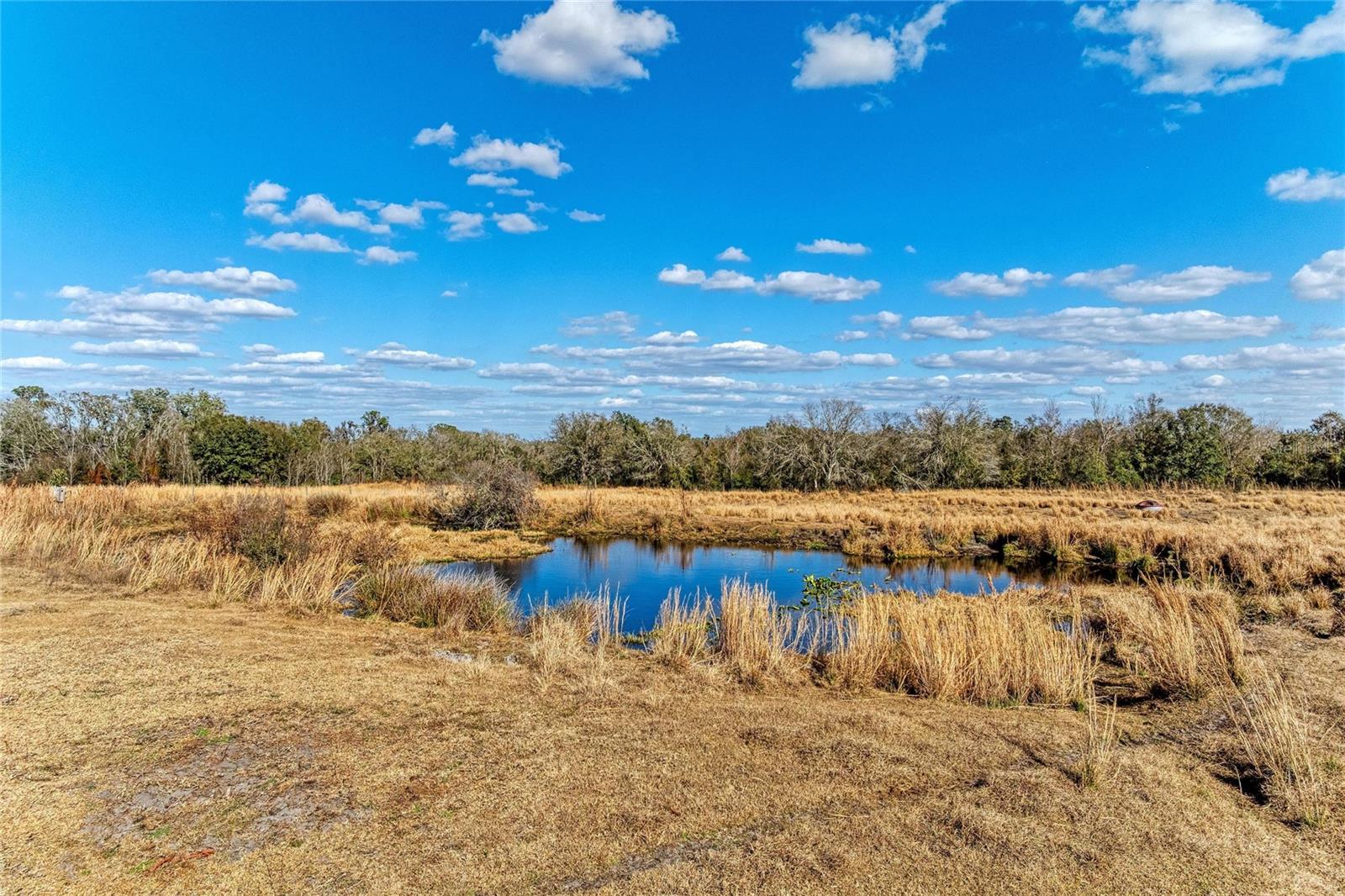 33100 & 33070 TAYLOR GRADE RD, PARRISH, FL — photo 18