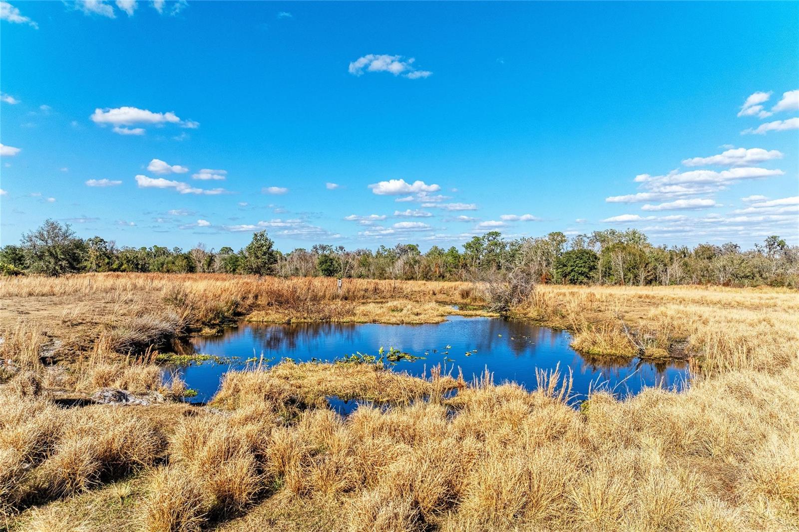 33100 & 33070 TAYLOR GRADE RD, PARRISH, FL — photo 19