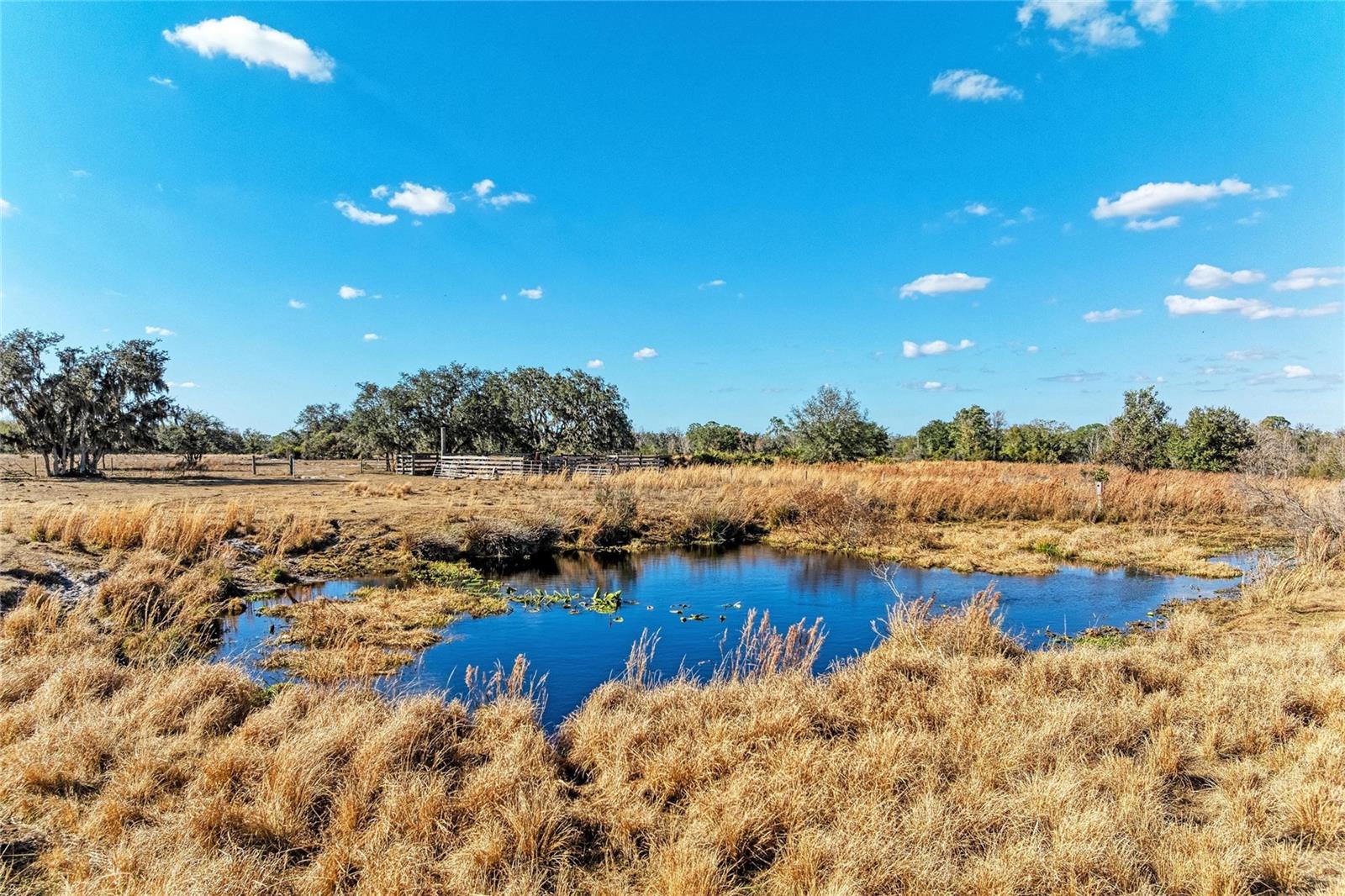 33100 & 33070 TAYLOR GRADE RD, PARRISH, FL — photo 20