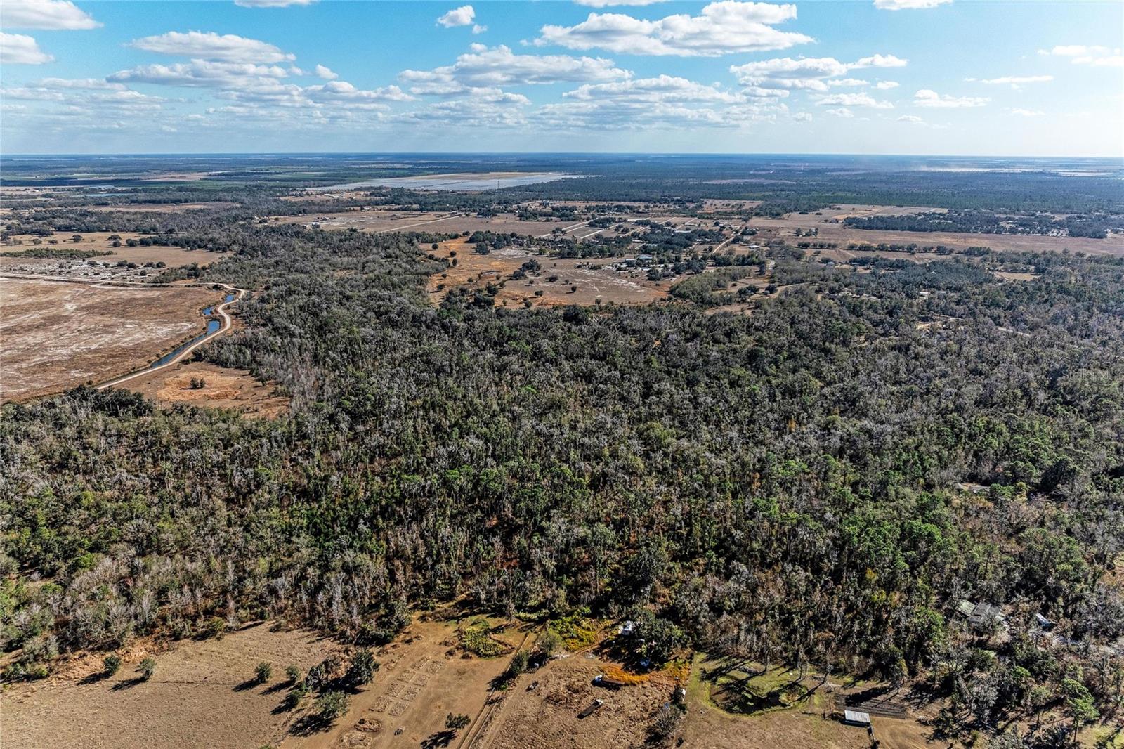 33100 & 33070 TAYLOR GRADE RD, PARRISH, FL — photo 26