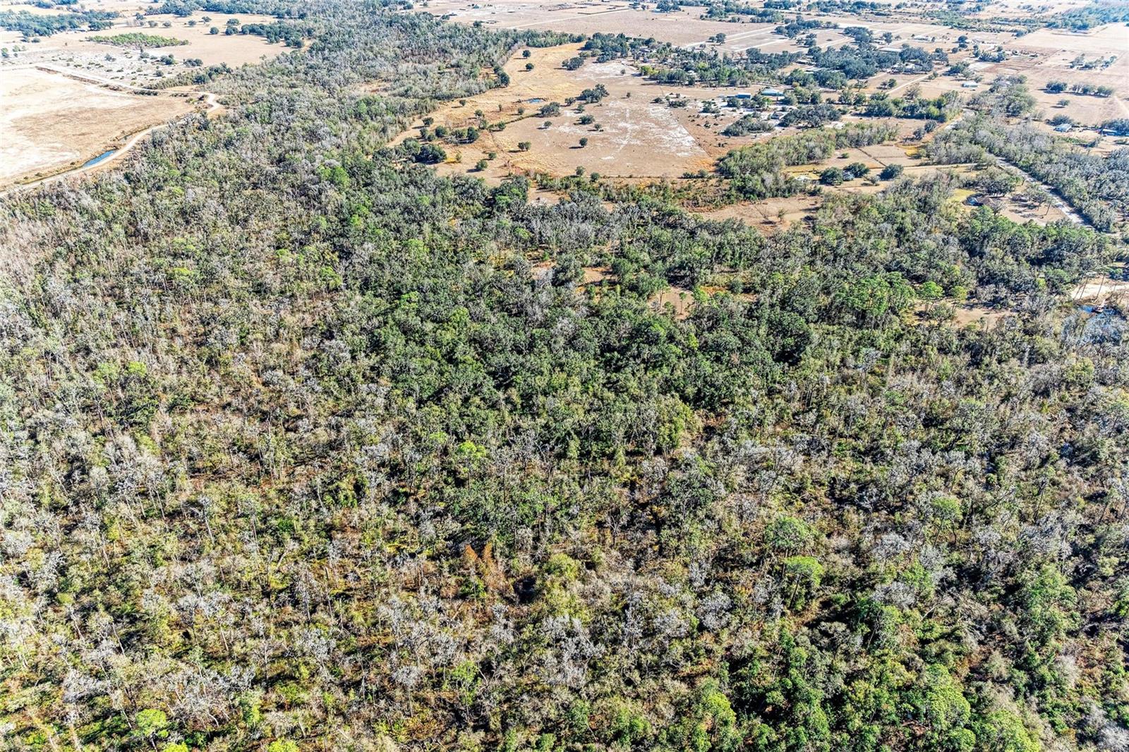 33100 & 33070 TAYLOR GRADE RD, PARRISH, FL — photo 30