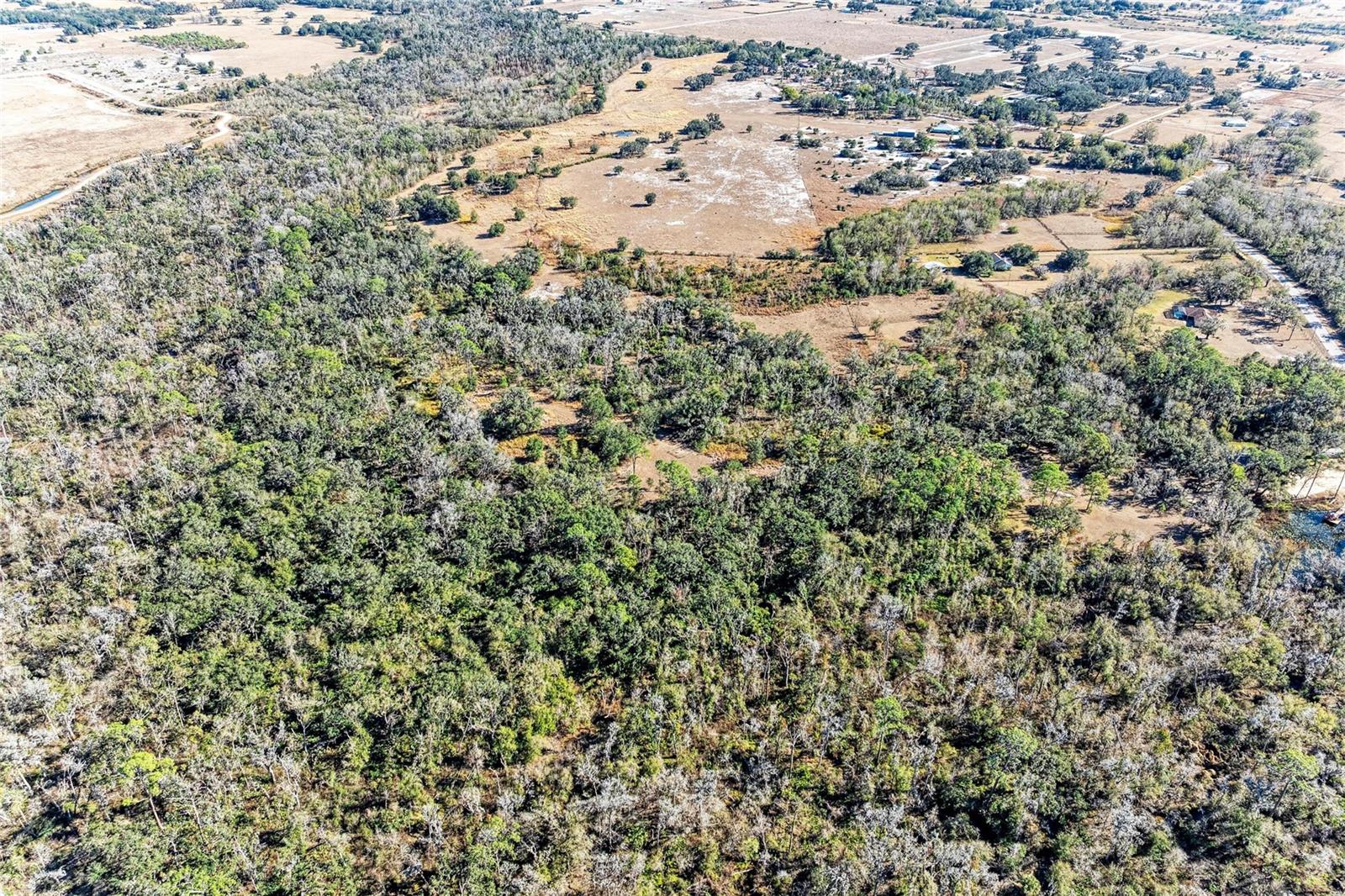 33100 & 33070 TAYLOR GRADE RD, PARRISH, FL — photo 32