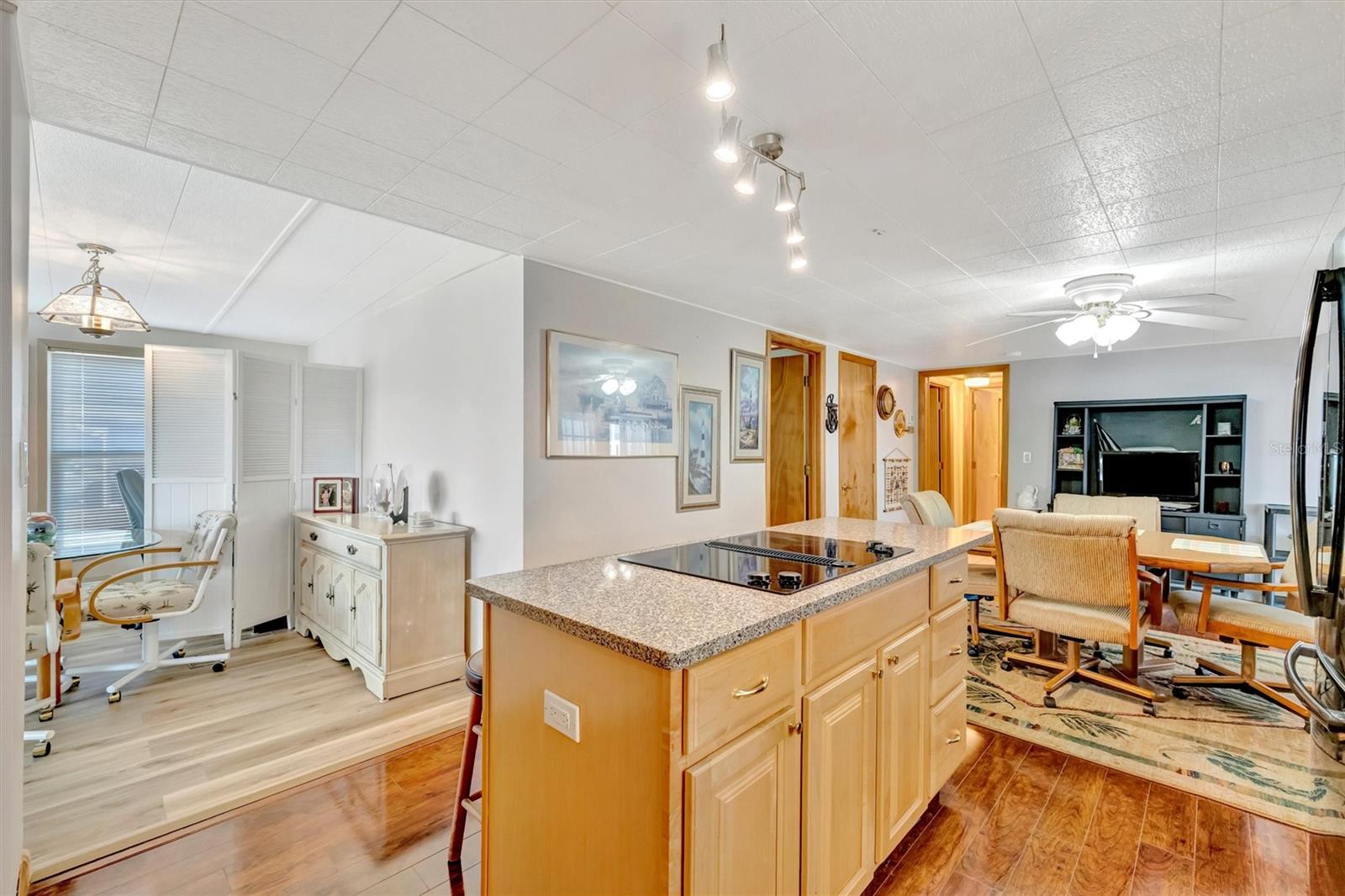 132 W SAINT LUCIA LOOP, APOLLO BEACH, FL — photo 10