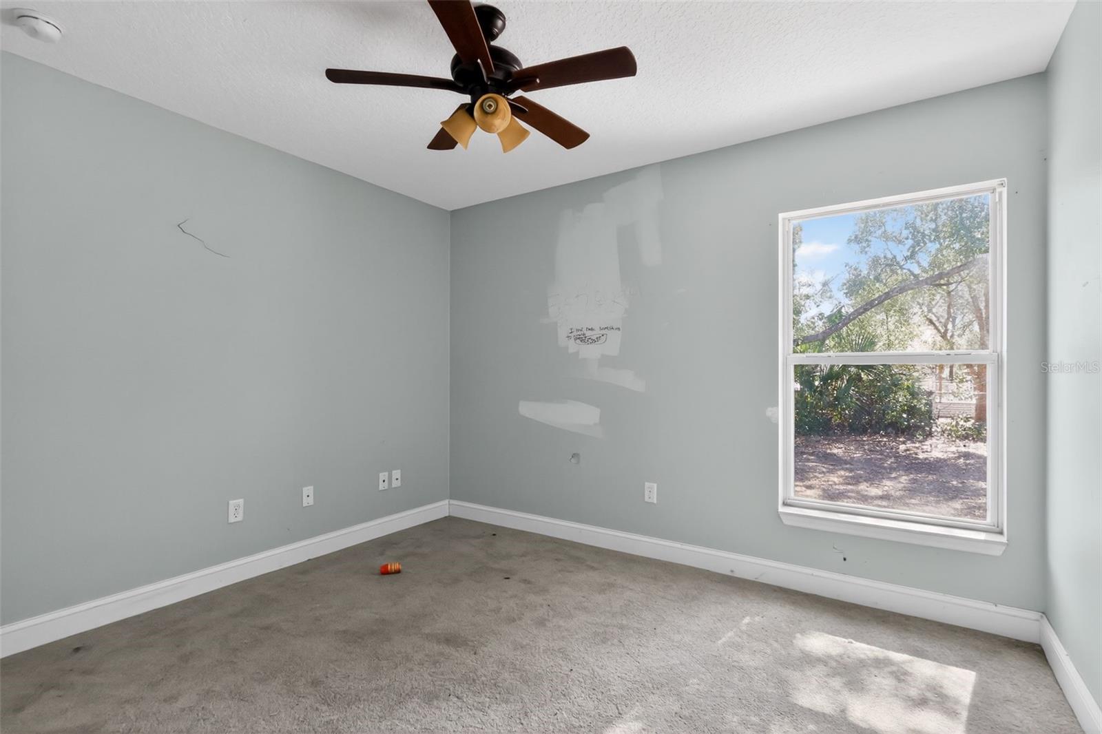 36101 MATTAWAN DR, EUSTIS, FL — photo 5