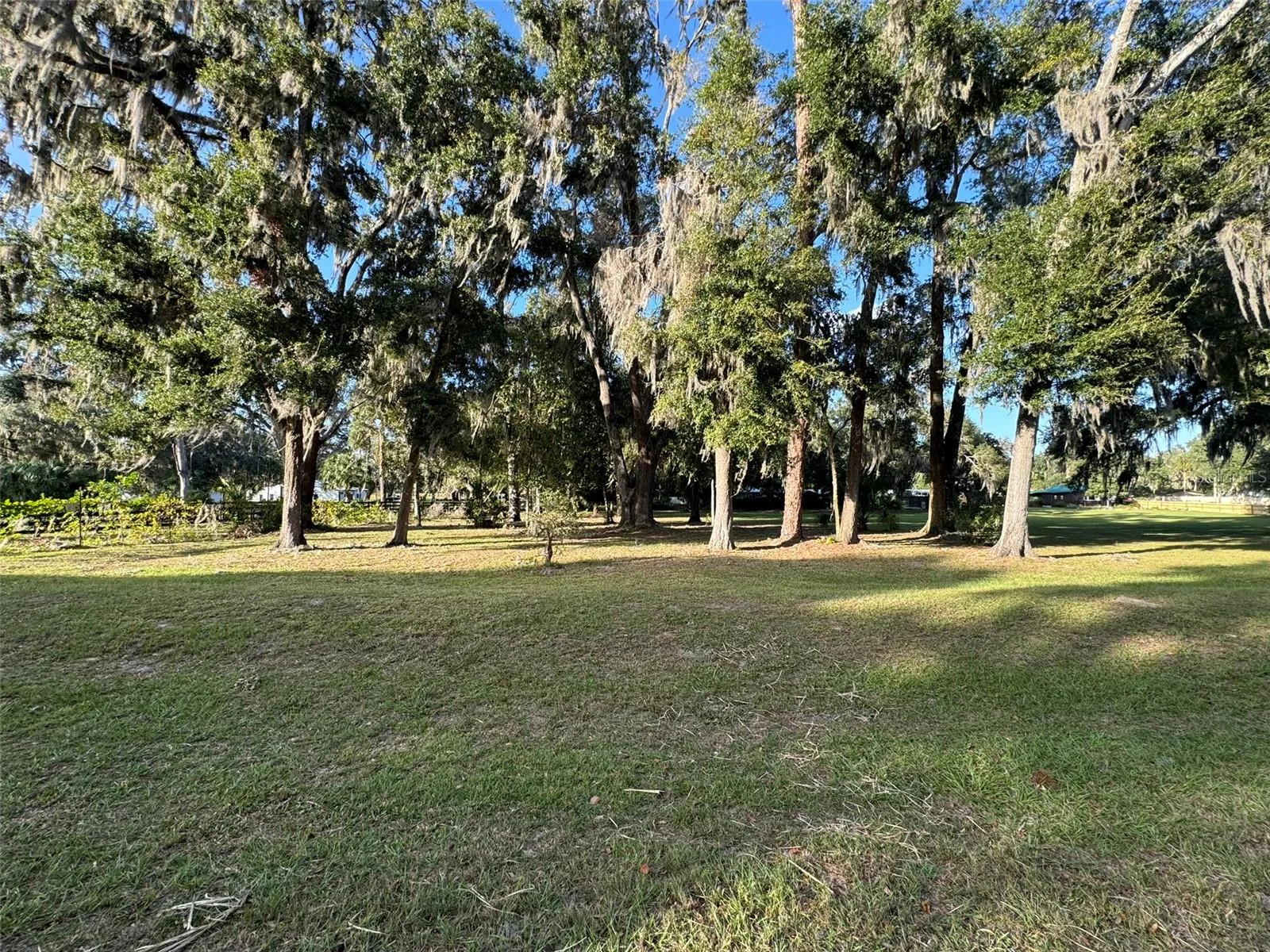 0 W HIGHWAY 318, CITRA, FL — photo 3