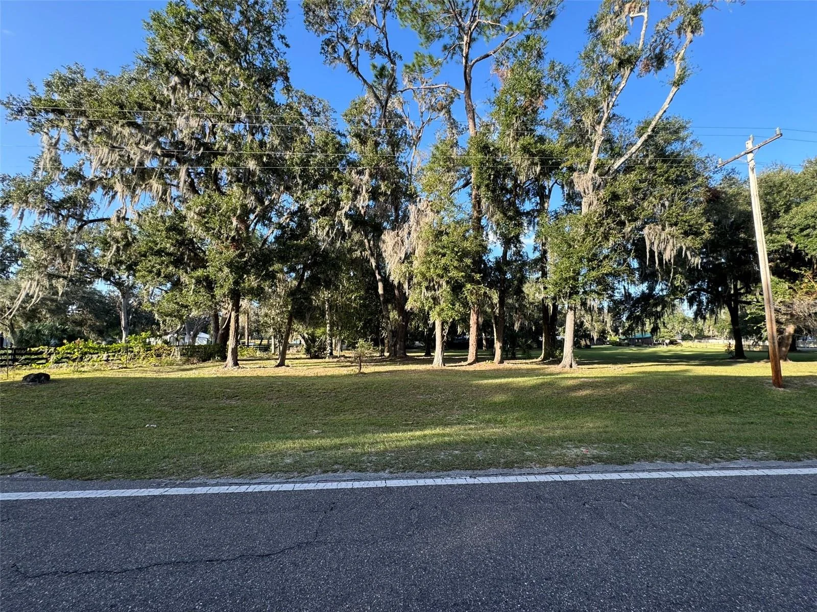 0 W HIGHWAY 318, CITRA, FL — photo 4