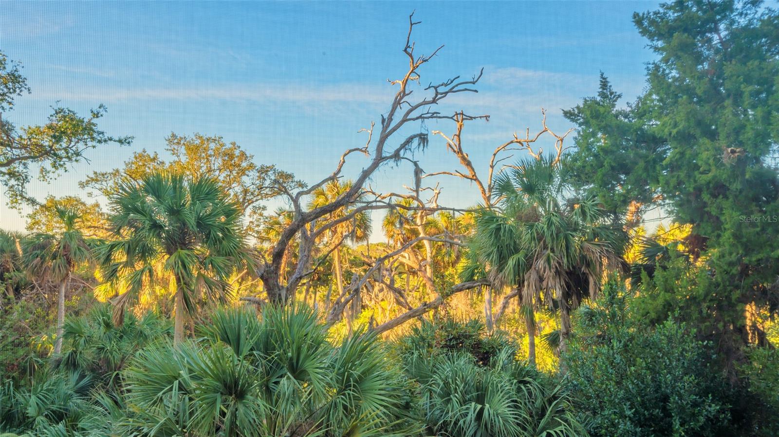 3621 N POINT RD #301, OSPREY, FL — photo 14
