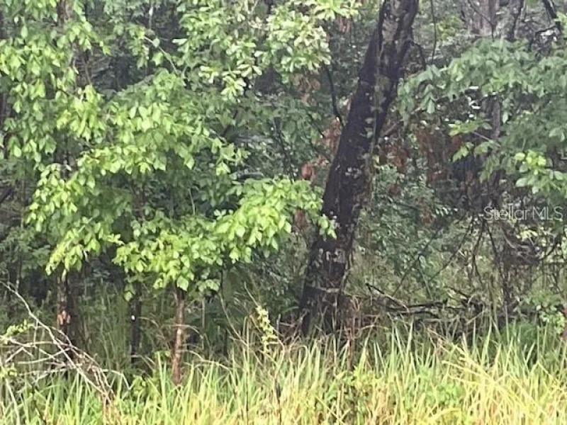 SHARON ST, BROOKSVILLE, FL