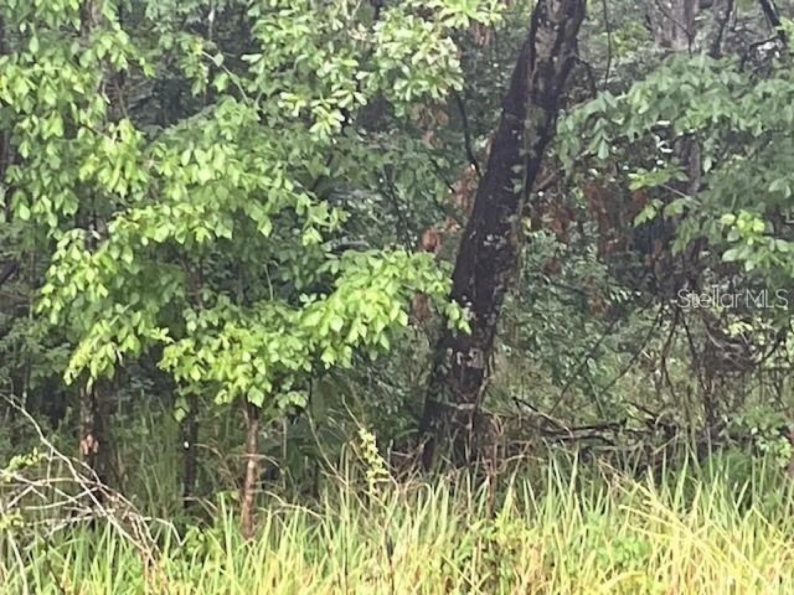 SHARON ST, BROOKSVILLE, FL — photo 1