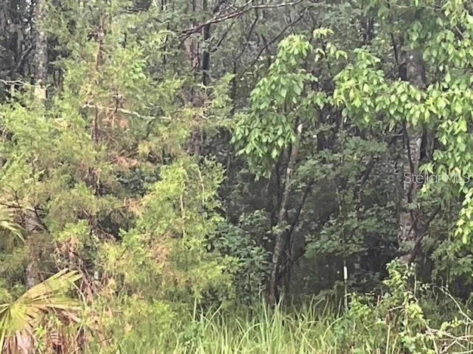SHARON ST, BROOKSVILLE, FL — photo 2