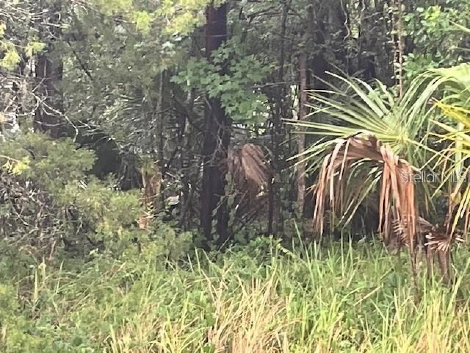 SHARON ST, BROOKSVILLE, FL — photo 3
