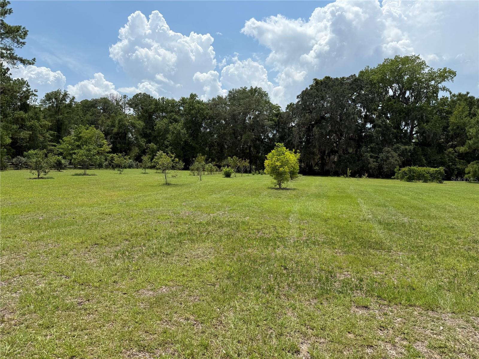 13106 NW 112TH AVE, ALACHUA, FL — photo 3