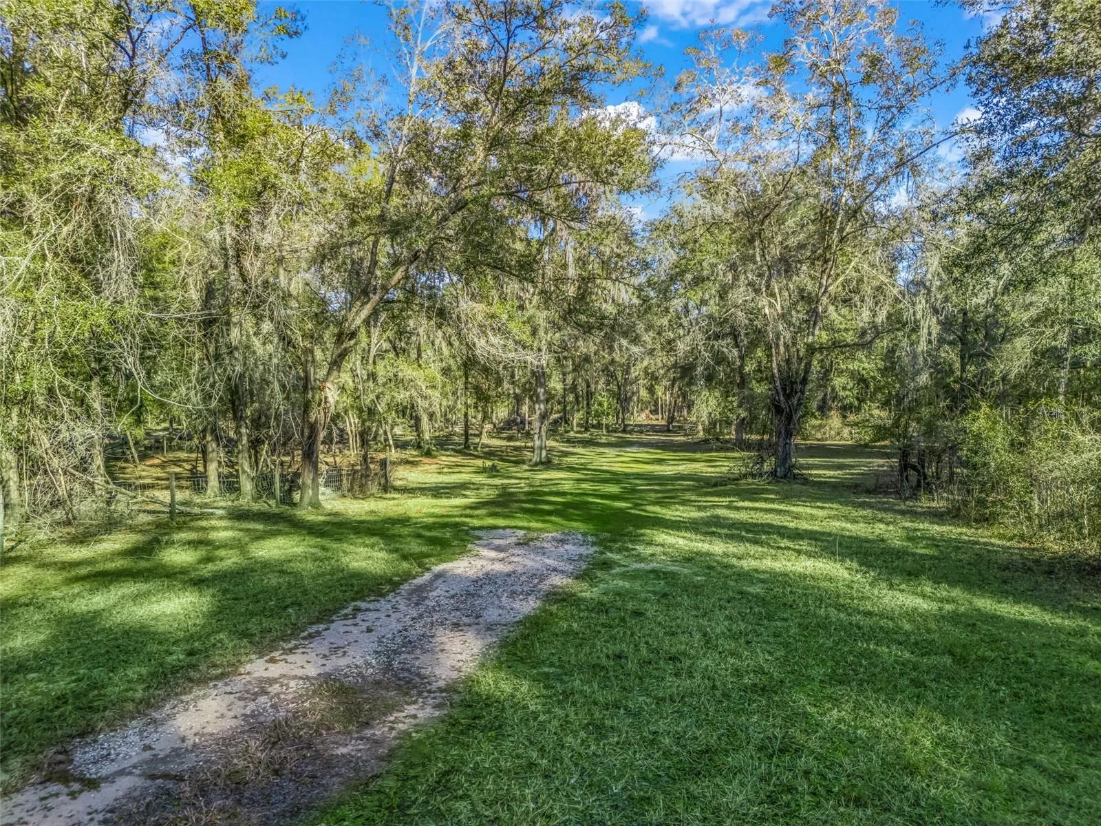 0 SE 165TH AVE, WILLISTON, FL — photo 6
