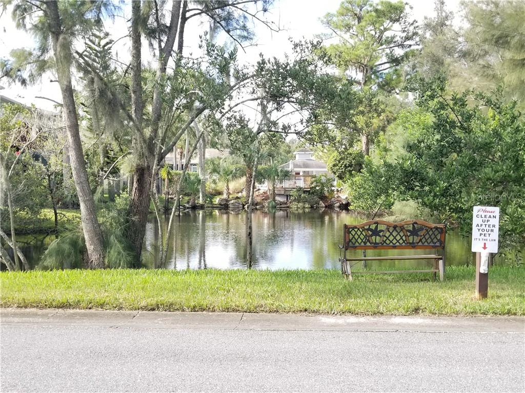 4970 MARINA PALMS DR, PORT RICHEY, FL — photo 38