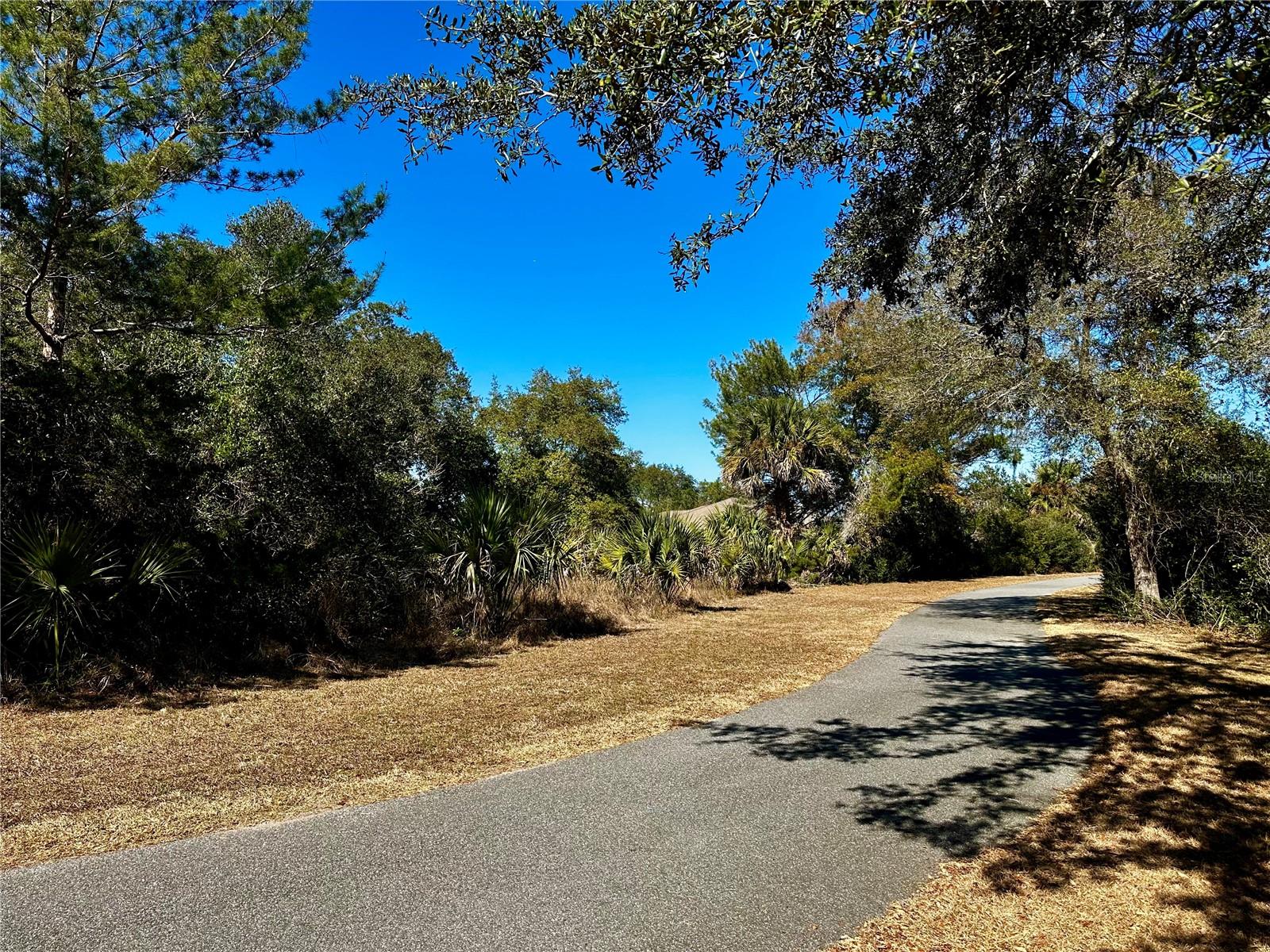 29 FIELDSTONE LN, PALM COAST, FL — photo 4