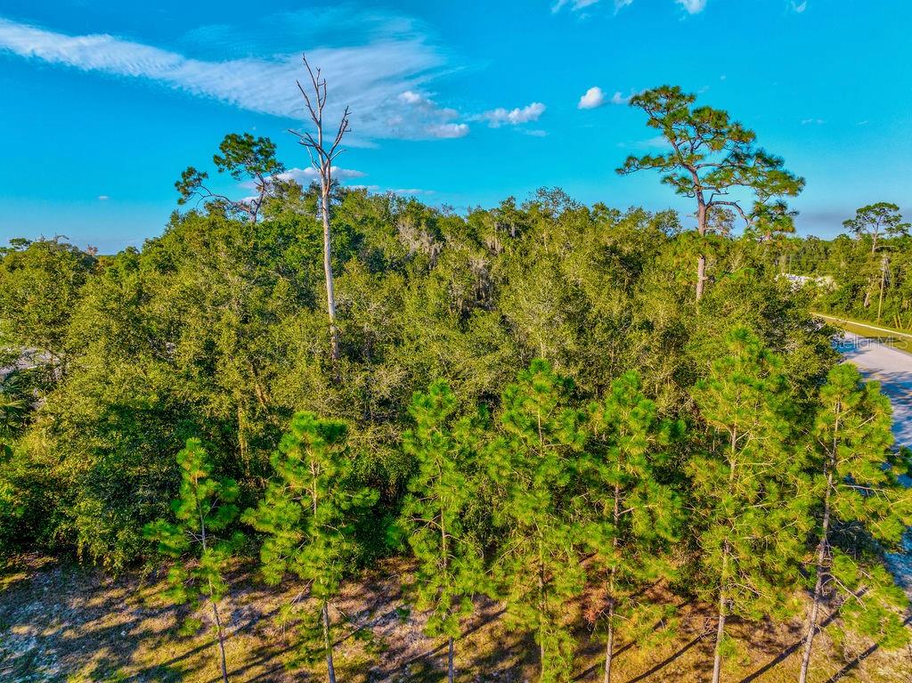 330 BONNIE LN, ORANGE CITY, FL — photo 36