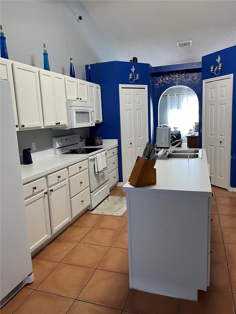 303 BACCARAT CT, KISSIMMEE, FL — photo 36