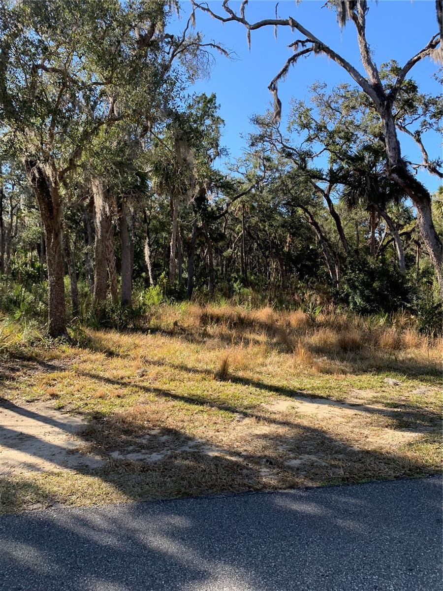 12148 W STANDISH DR, HOMOSASSA, FL — photo 4