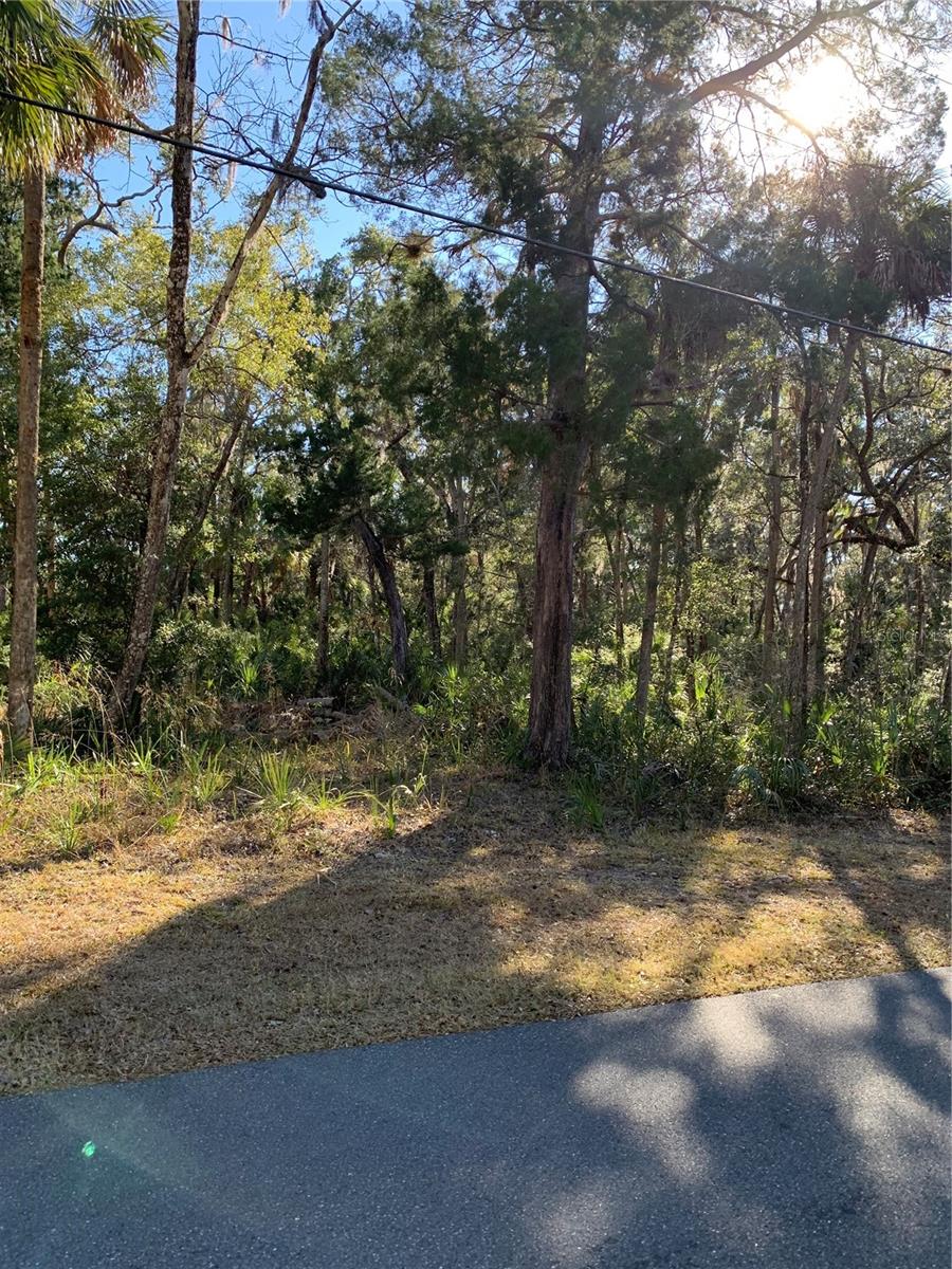 12148 W STANDISH DR, HOMOSASSA, FL — photo 5