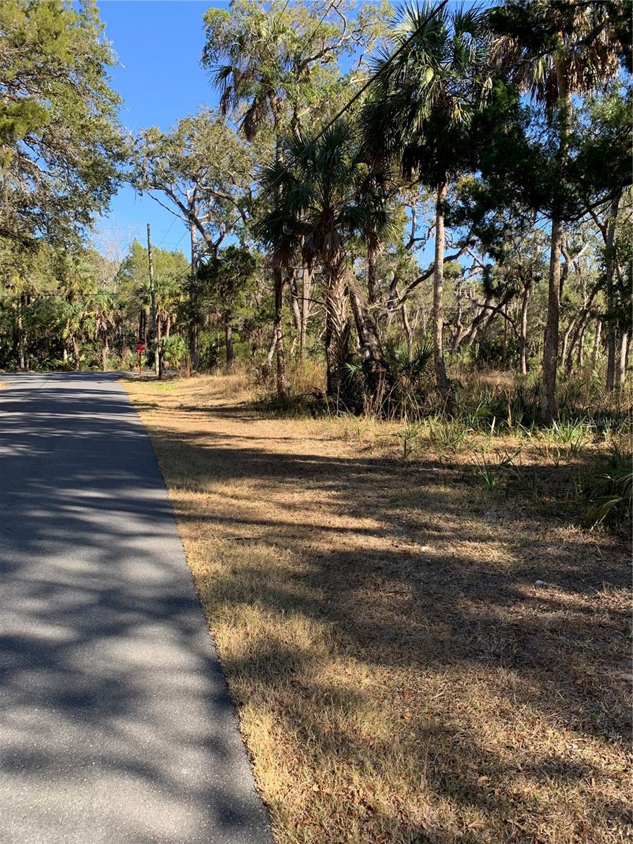 12148 W STANDISH DR, HOMOSASSA, FL — photo 7