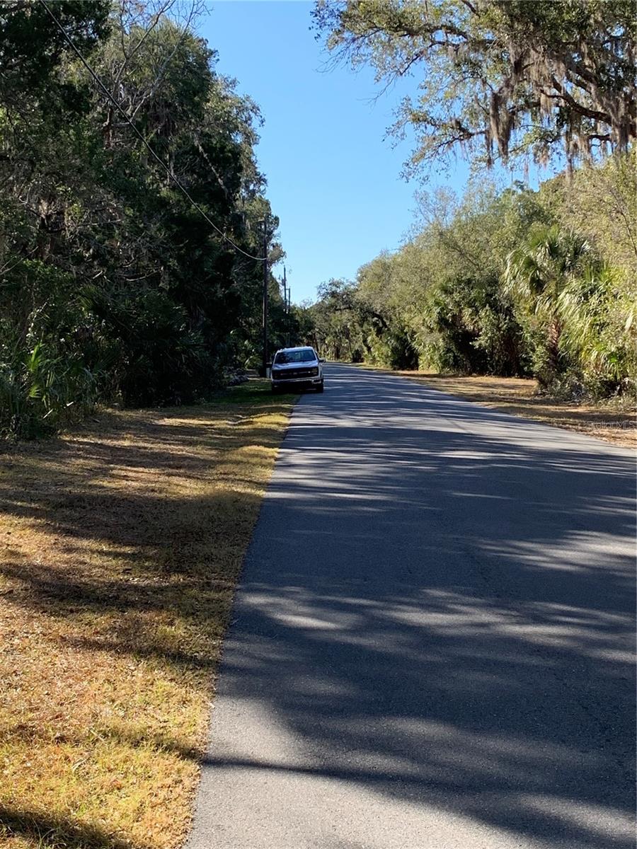 12148 W STANDISH DR, HOMOSASSA, FL — photo 8