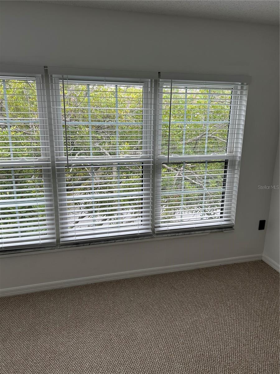 2462 KINGFISHER LN #J203, CLEARWATER, FL — photo 5